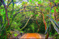        trails poas volcano 
  - Costa Rica