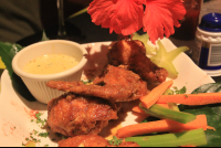 outback jacks wings 
 - Costa Rica
