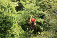        flight of the toucan tree climb combo tour canopy 
  - Costa Rica