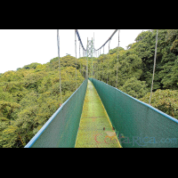 hanging bridge skywalk monteverde_
 - Costa Rica