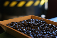 Roasted Beans Doka Coffee Estate
 - Costa Rica
