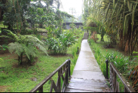        chachagua hotel grounds
  - Costa Rica