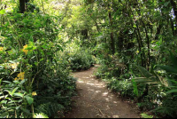 Monteverde train tour hiking path 
 - Costa Rica
