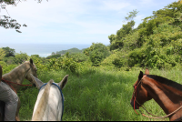 three horse panoramic punta islita 
 - Costa Rica