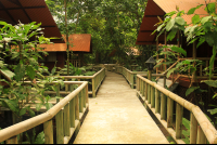 anhinga lodge path 
 - Costa Rica