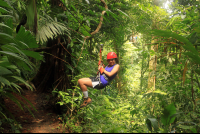        safari canopy tour girl 
  - Costa Rica