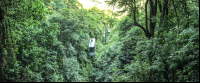 rainforest adventures aerial tram top 
 - Costa Rica