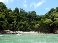        jungle coast jets hidden cove 
  - Costa Rica