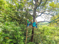 Tree Platform Tizati Zip Line Rincon De La Vieja
 - Costa Rica