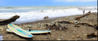        dominical beach attraction boards 
  - Costa Rica