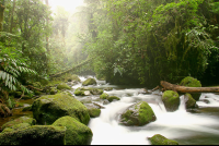        river waterfallgardens 
  - Costa Rica