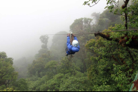        skytrek through the forest 
  - Costa Rica