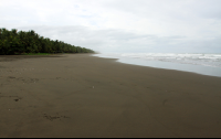 esterillos sand 
 - Costa Rica