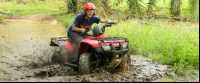 fourtrax puddle 
 - Costa Rica