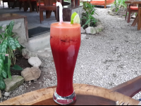 Juice Shambala Restaurant
 - Costa Rica