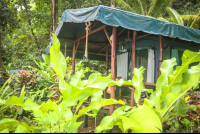 La Leona Tent Cabin Exterior Costa Rica
 - Costa Rica