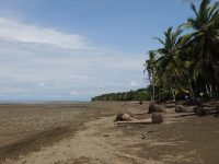 ballena aventura tour uvita beach  
 - Costa Rica