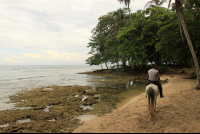 terraventuras beach horseback ride fossilzed reef 
 - Costa Rica