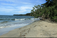playa blanca footprints 
 - Costa Rica