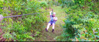        Man Zip Linning On Corcovado Canopy Tour
  - Costa Rica