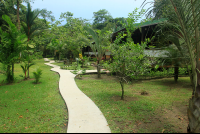 mawamba walkway 
 - Costa Rica