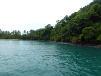iguana catamaran tour manuel antonio national park 
 - Costa Rica