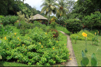 costa paraiso garden 
 - Costa Rica