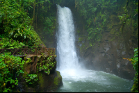 waterfall waterfallgardens 
 - Costa Rica