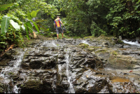        bamboo forest moutain bike tour walking upstream 
  - Costa Rica