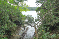 punta uva tidal gorge 
 - Costa Rica