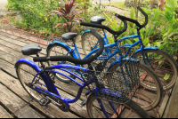        kayas place bikes 
  - Costa Rica