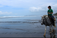        discovery horseback tour beach closeup 
  - Costa Rica