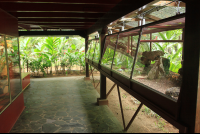        Jaguar Rescue Center Serpentarium
  - Costa Rica