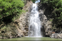        Montezuma Waterfall Front View
  - Costa Rica