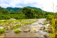Grande De Orosi River
 - Costa Rica