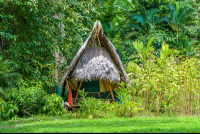 Tiki Tent At Finca Exotica Carate
 - Costa Rica