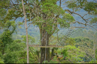        Tree Platform Of Blue River Zipline Rincon De La Vieja
  - Costa Rica
