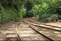 Monteverde train tour tracks 
 - Costa Rica