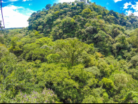 Lateral Forest View From The Tizati Zip Line Rincon De La Vieja
 - Costa Rica
