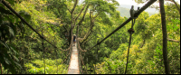 chiclets canopy tour suspension bridge 
 - Costa Rica