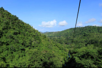 rainforest adventures landscape 
 - Costa Rica