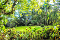        Manglares Hotel Gardens
  - Costa Rica