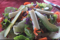        mixed salad lagarta lodge
  - Costa Rica