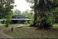 La Selva Research Station
 - Costa Rica