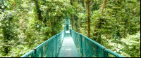 selvetura hanging bridge 
 - Costa Rica