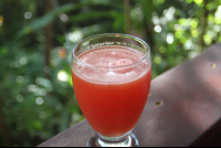 papaya juice mariposariobb 
 - Costa Rica