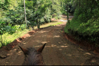 bijagual tour horseback 
 - Costa Rica