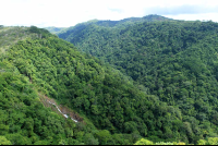 pura vida gardens waterfall 
 - Costa Rica