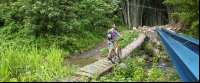 bamboo forest moutain bike tour bridge 
 - Costa Rica