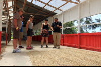 helaconia ranch learning about coffee 
 - Costa Rica